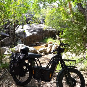 a motorcycle parked on the side of a tree