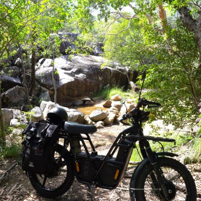 a motorcycle parked on the side of a tree