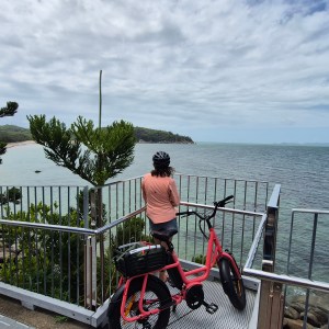 Person with bicycle overlooking a scenic ocean view from a rail deck.