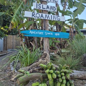Banana trees with signs: 'MAGNETIC ISLAND ROAMING' and 'ADVENTURE STARTS HERE'.